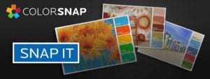 ColorSnap tool from Sherwin Williams
