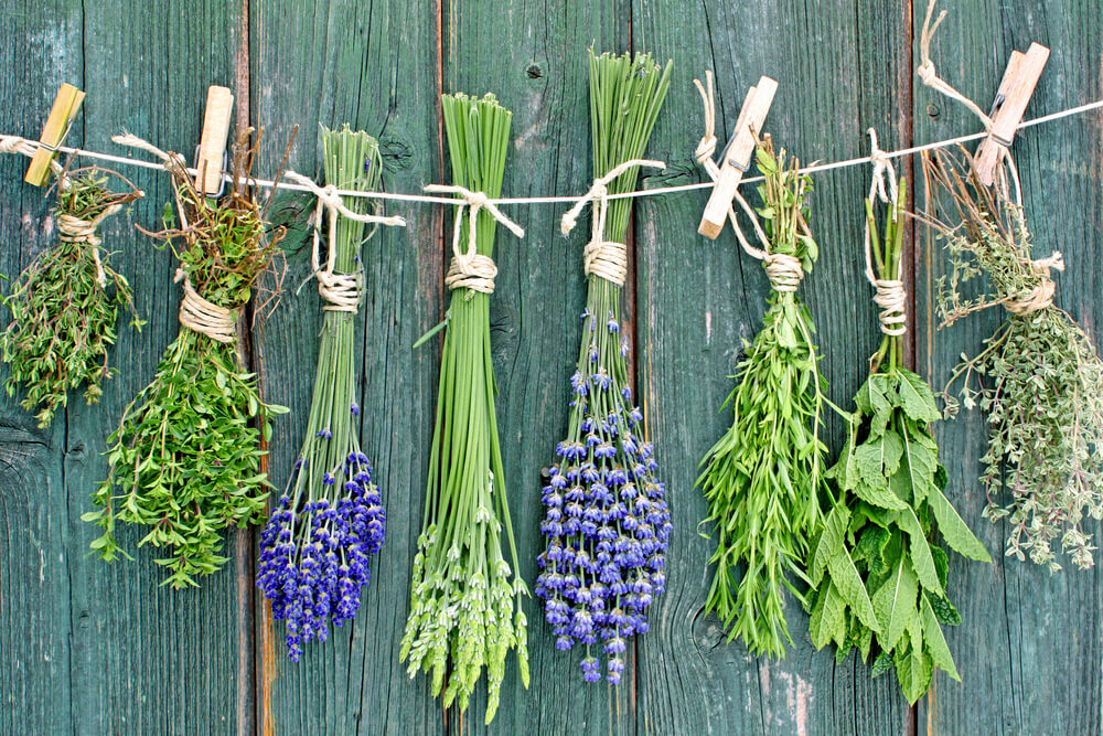 Herbs used for smudging tied up on a string