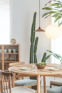 Rustic kitchen table with a cactus sitting behind it